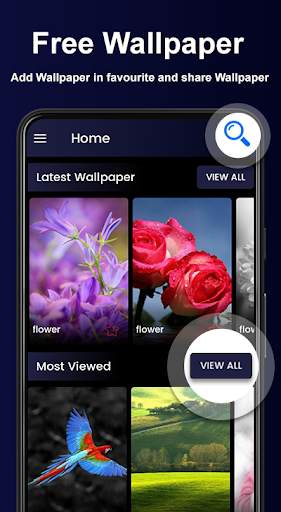 HD and 3d wallpapers, download , set wallpapers screenshot 1