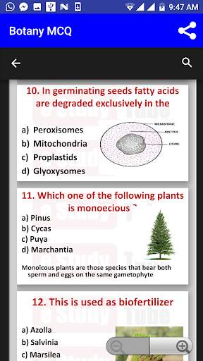 Botany MCQ, Important Botany questions 3 تصوير الشاشة