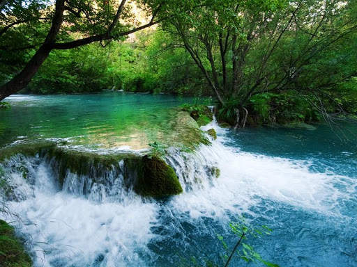 Green Nature HD Wallpaper screenshot 8