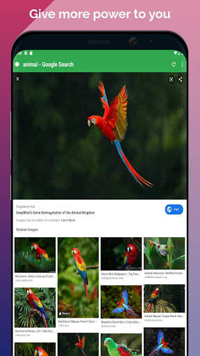 Best browsers | the brave browser Private Browser screenshot 4