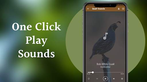 Quail Sounds - Quail Bird Calls screenshot 6