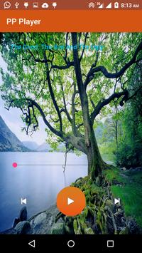 P Player screenshot 4