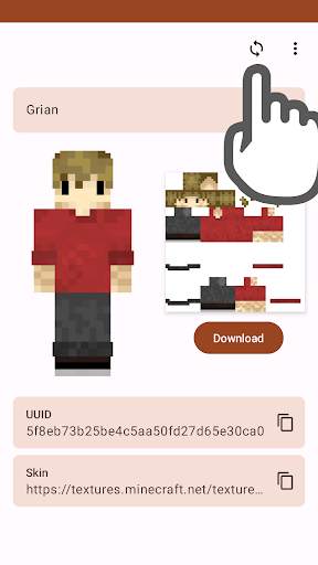 Download Skins screenshot 2