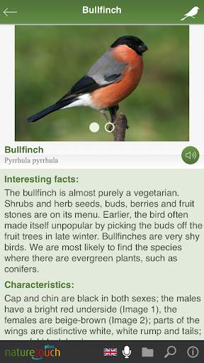 Identify live bird songs, naturetouch screenshot 6