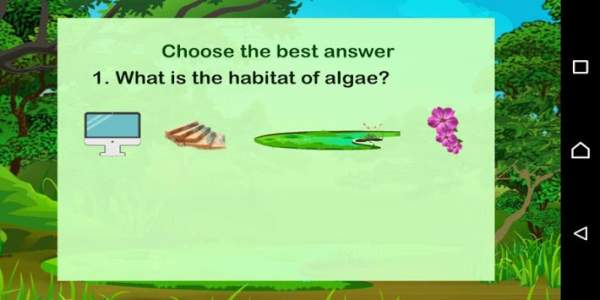 CSD - Algae screenshot 5