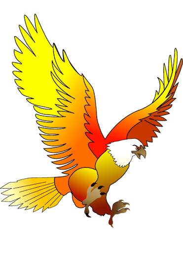 King Bird KSA / OPC50005 स्क्रीनशॉट 2