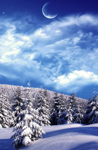 Winter Wallpaper screenshot 2