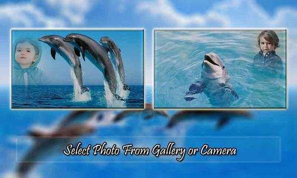 Dolphin Photo Frame screenshot 1