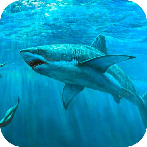 Shark Live Wallpaper 1.0