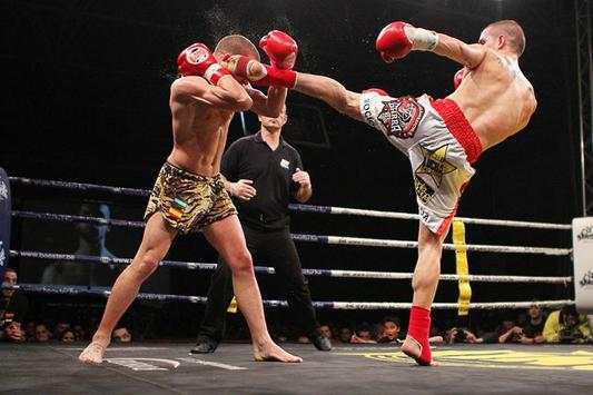 Learn King Boxing screenshot 1