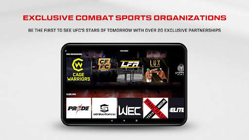 UFC screenshot 10