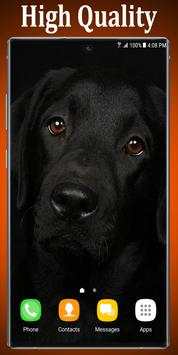 Labrador Puppies Live Wallpaper screenshot 6
