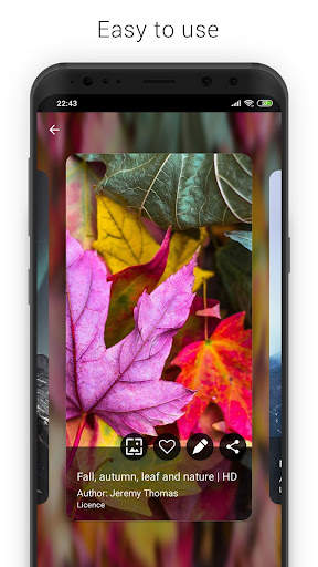 Alpha wallpapers HD 6 تصوير الشاشة