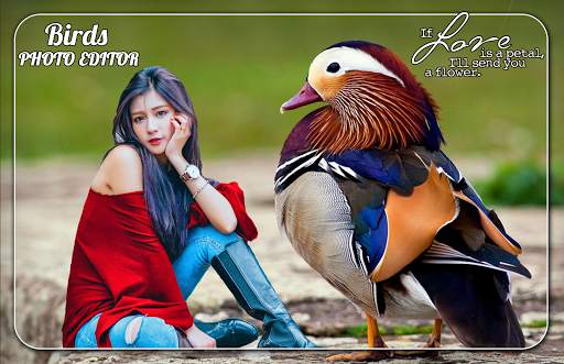 Birds Photo Editor screenshot 1