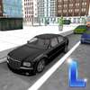 Driving School Simulator 3D logo
