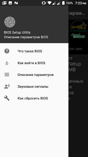 BIOS Setup - Описание параметров скриншот 1