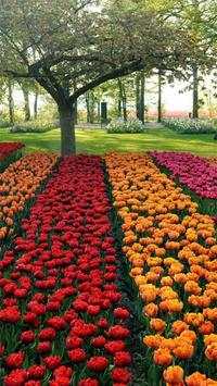 Garden Wallpapers screenshot 4
