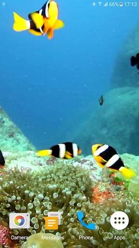 Colorful Fishes Live Wallpaper 6 تصوير الشاشة