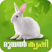 Rabbit Farming Malayalam on 9Apps