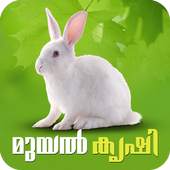 Rabbit Farming Malayalam 6.0