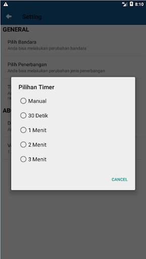 Indonesia Flight Status скриншот 5