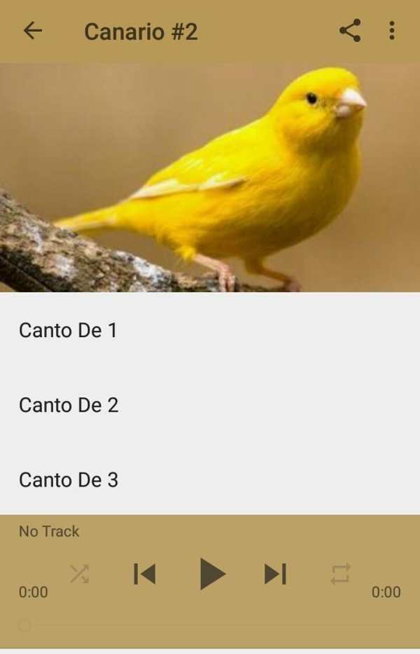 Canto De Canario Timbrado 3 تصوير الشاشة