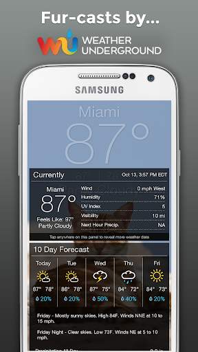 Weather BUB скриншот 4