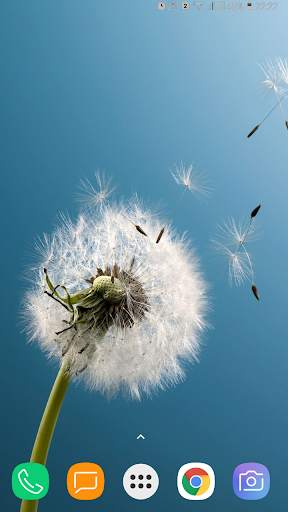 Wallpaper for Sony Xperia Wallpapers screenshot 14