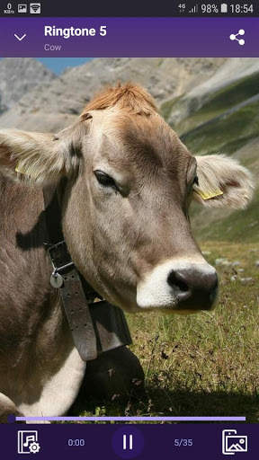 Cow - RINGTONES and WALLPAPERS screenshot 2