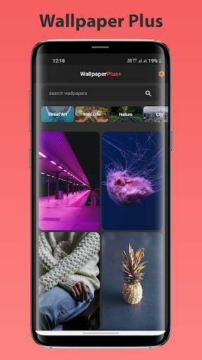 Wallpaper Plus screenshot 2