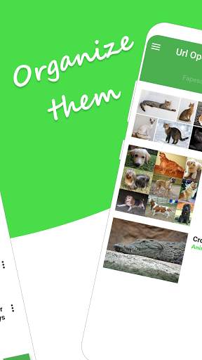 URL opener app screenshot 2