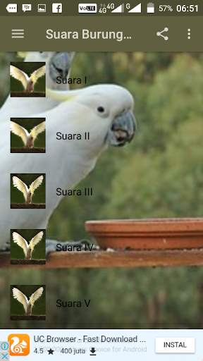 Suara Burung Kakatua Offline screenshot 2