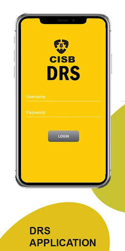DRS screenshot 1