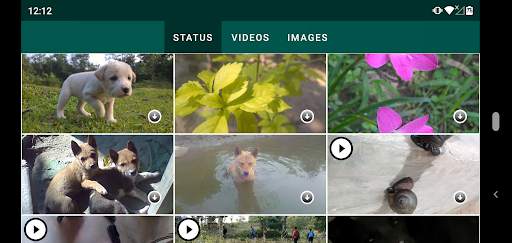 Status Downloader:For WhatsApp screenshot 5