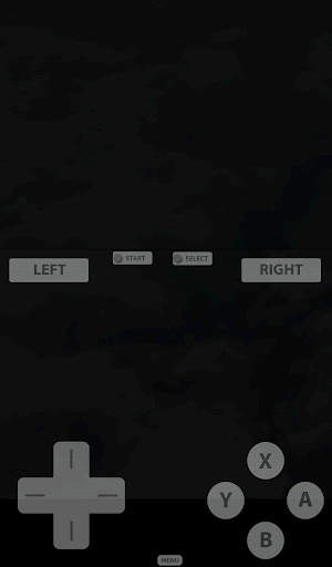 Fast DS Emulator - For Android screenshot 2
