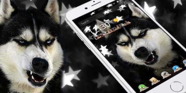 Funny Husky launcher theme screenshot 2