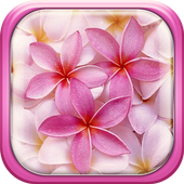 Pink Flowers Live Wallpaper icon