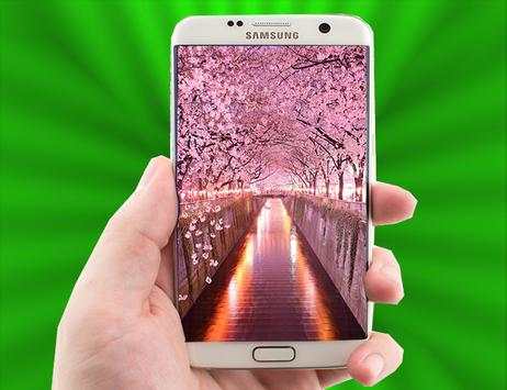 Sakura Live Wallpaper screenshot 3