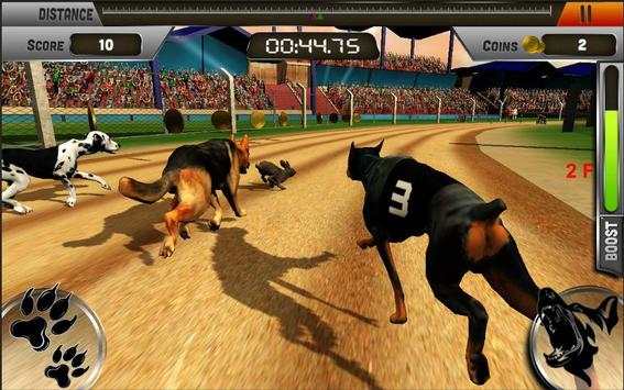Crazy Dogs Racing Bunny Hunter : Greyhound Dog Sim screenshot 7