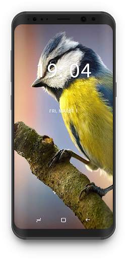 Bird Wallpapers 🦜 screenshot 4