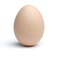 Crack Egg icon