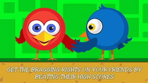 Parrot Games: Bird Games Free screenshot 3