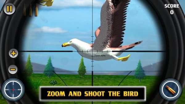 Bird Hunting screenshot 2