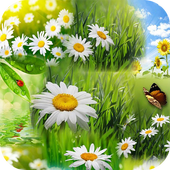 Spring Wallpaper HD icon
