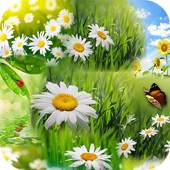 Spring Wallpaper HD 1.01
