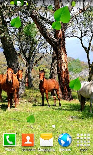 Horse Live Wallpapers screenshot 6