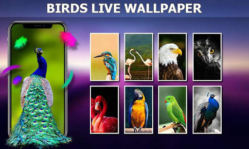 Live Wallpapers Animated, Background 3D/HD/4k 2020 screenshot 15