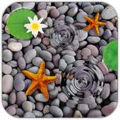 Water Ripples Live Wallpaper on 9Apps