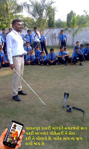 Palanpur Diary screenshot 10