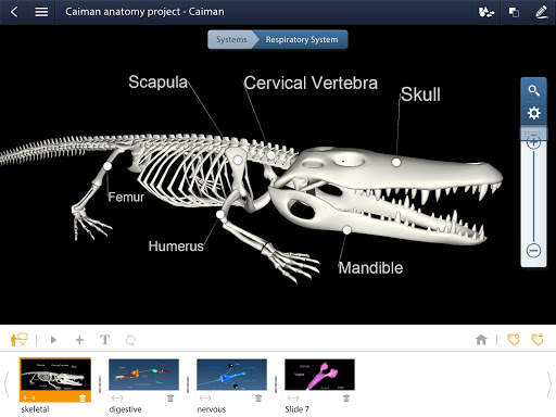 Animalia Educalabs screenshot 5